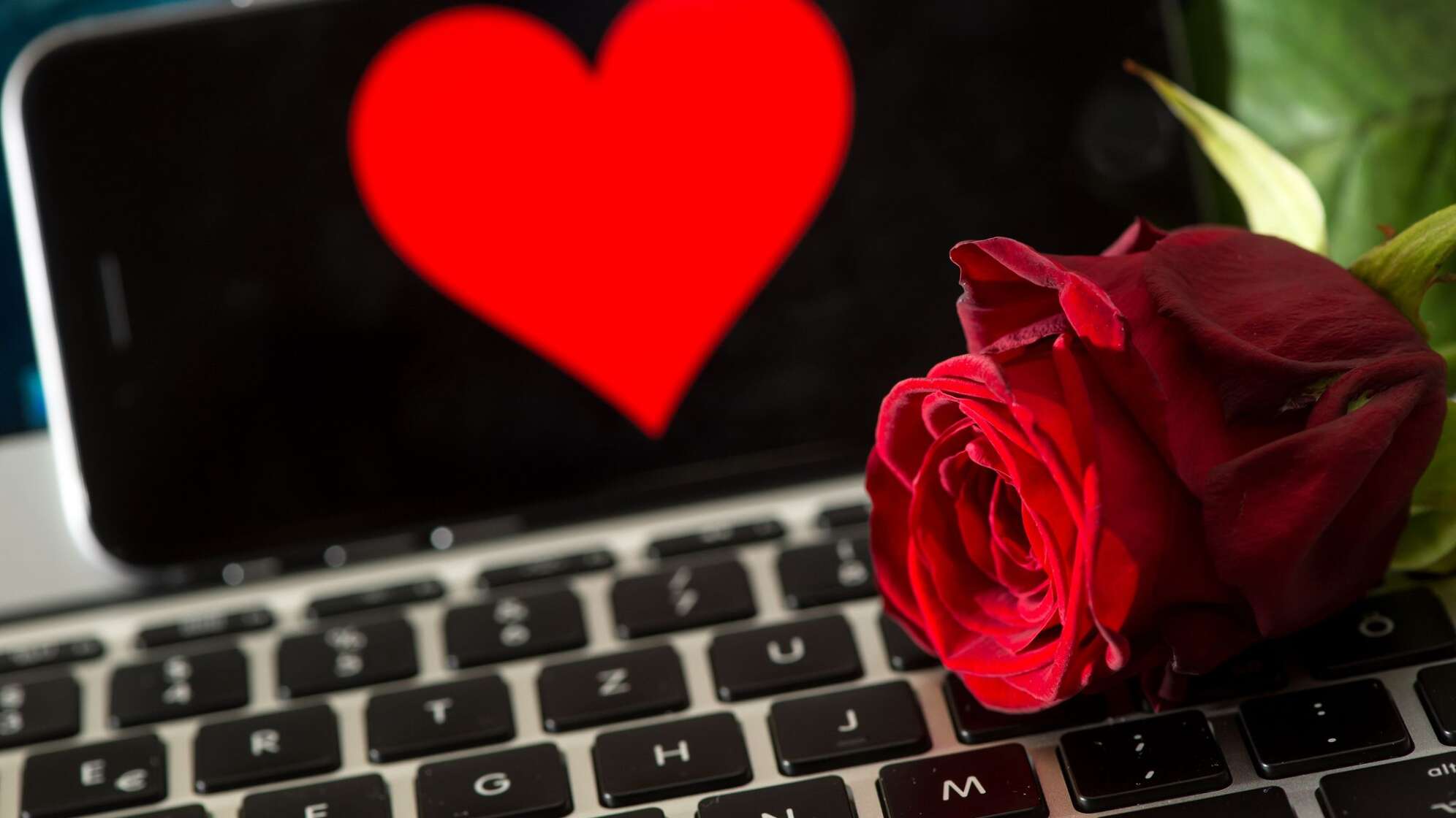 Rose auf Tastatur