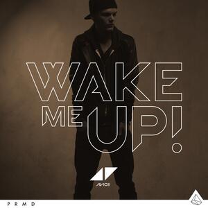 Avicii feat. Aloe Blacc – Wake Me Up