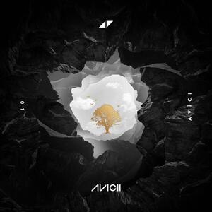 Avicii – Without You