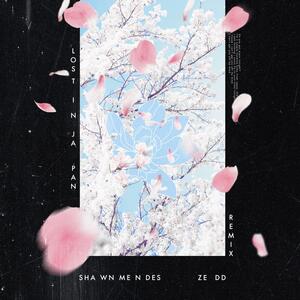 Shawn Mendes feat. Zedd – Lost In Japan