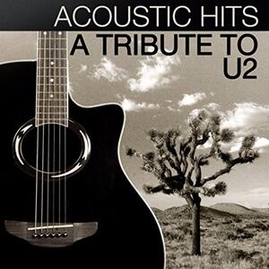 Acoustic Hits – One (acoustic)