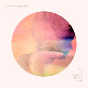Shawn Mendes – If I Cant Have You