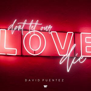 David Puentez – Don't Let Our Love Die