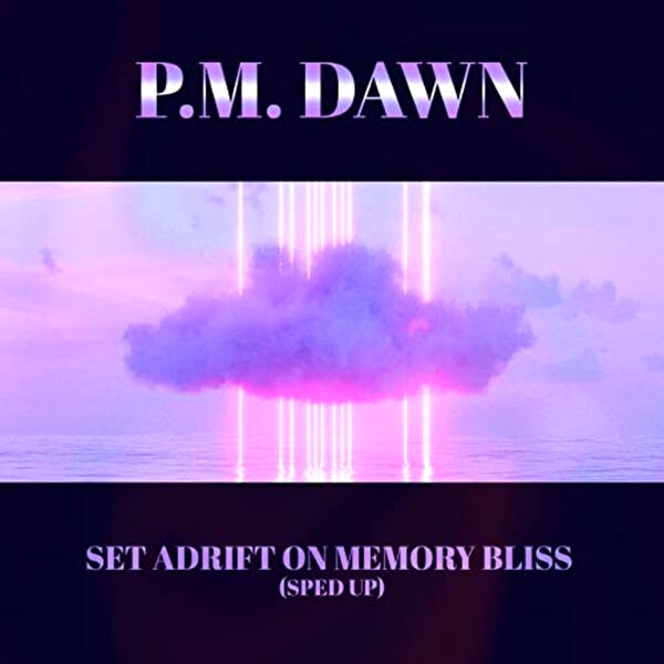 Set adrift on memory bliss