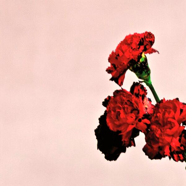 You & I (Nobody In The World)