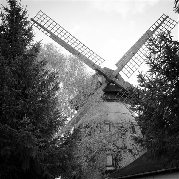 Napauken Feat. Fruiterama (Original Mix)