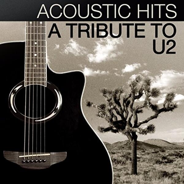 Beautiful Day (acoustic)