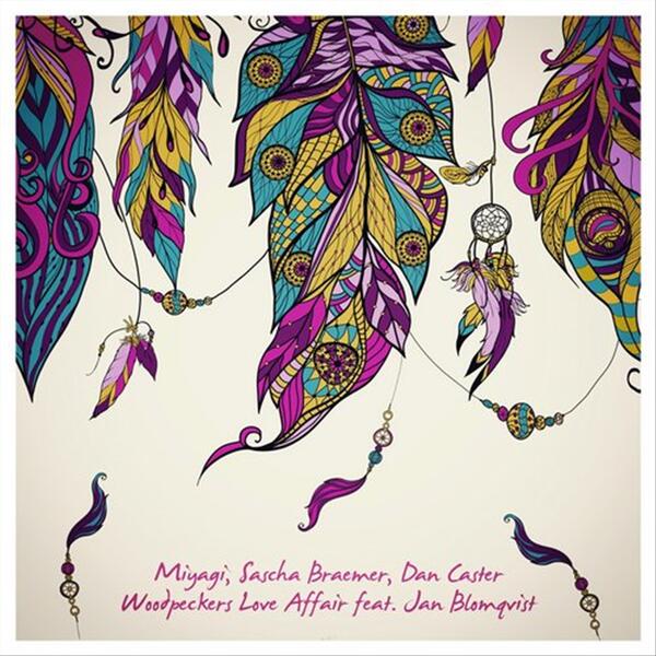 Woodpeckers Love Affair (Radio Mix)