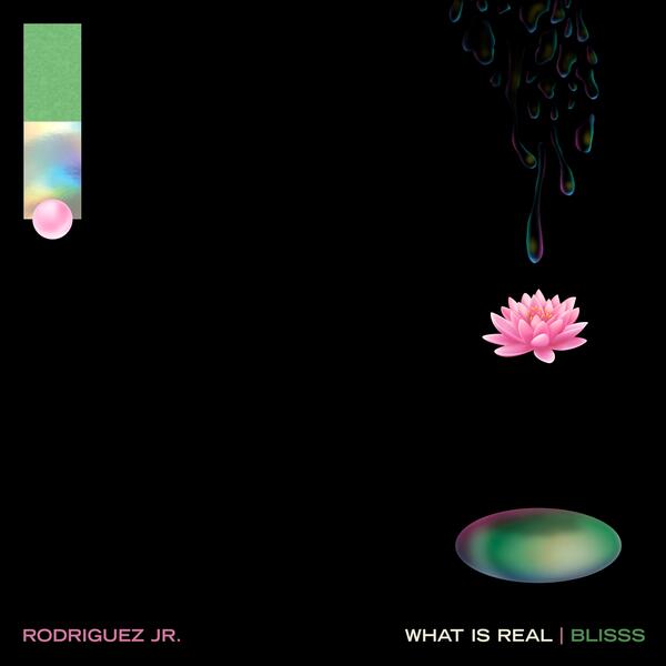 What Is Real (Radio Edit)