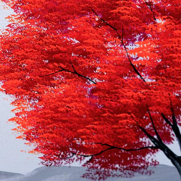 Lonely Dream (Solo Piano)