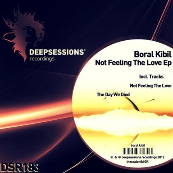 Not Feeling The Love (Original Mix)