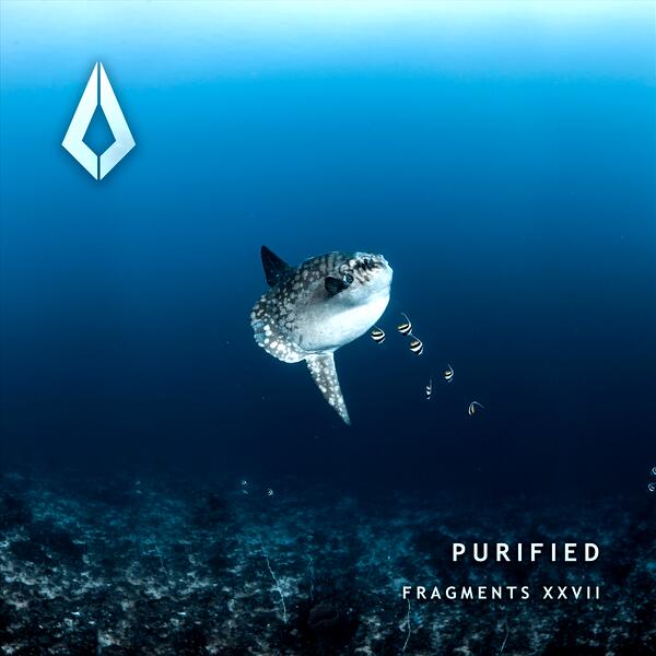 Echoes from Tomorrow