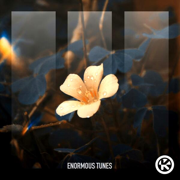 Bloom in the Ashes