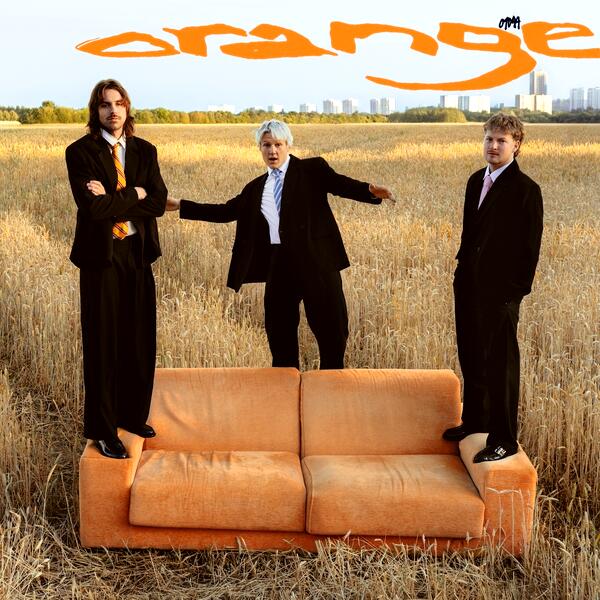 Was ich in die Lieder steck