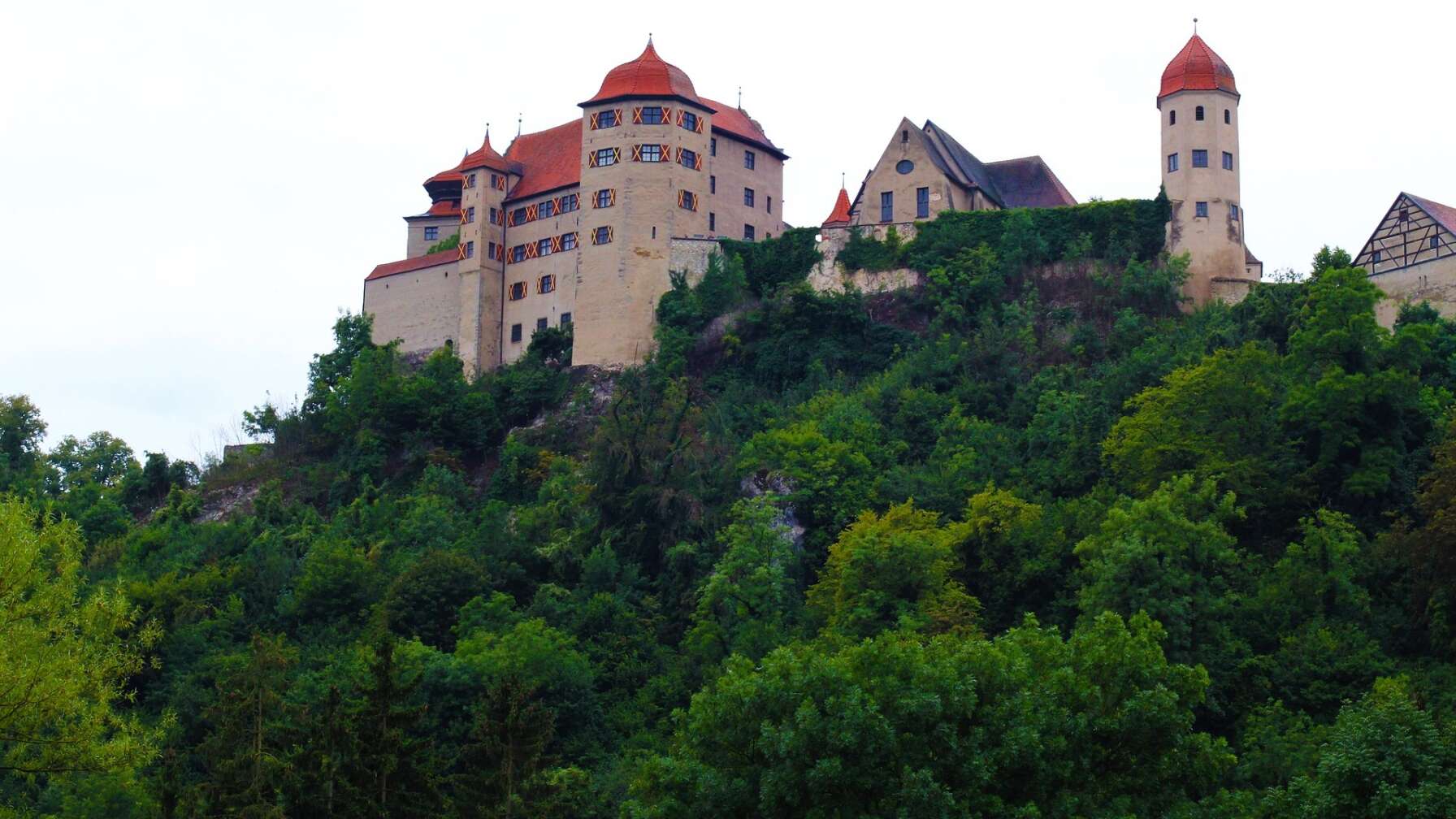 Burg