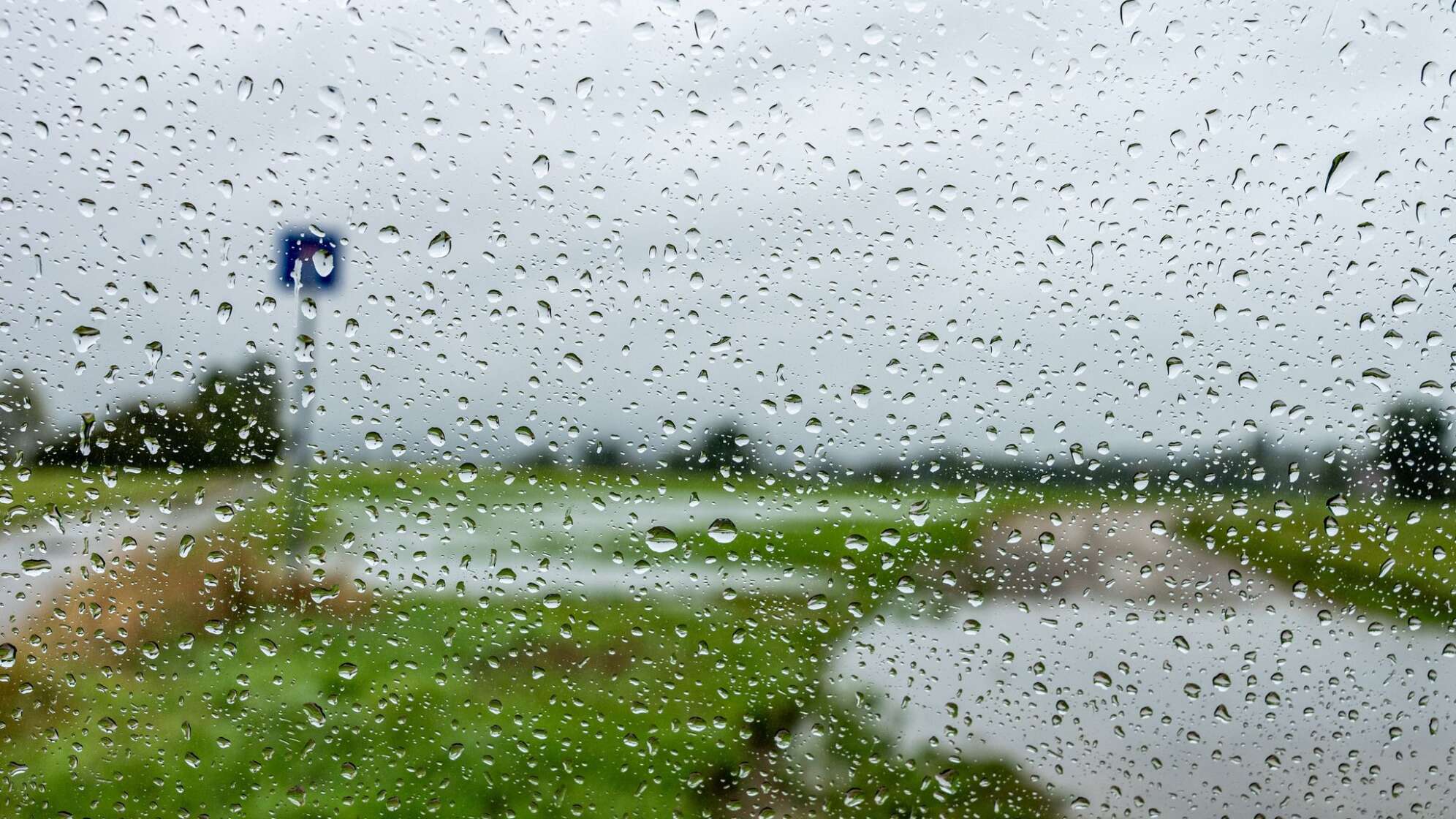 Regen