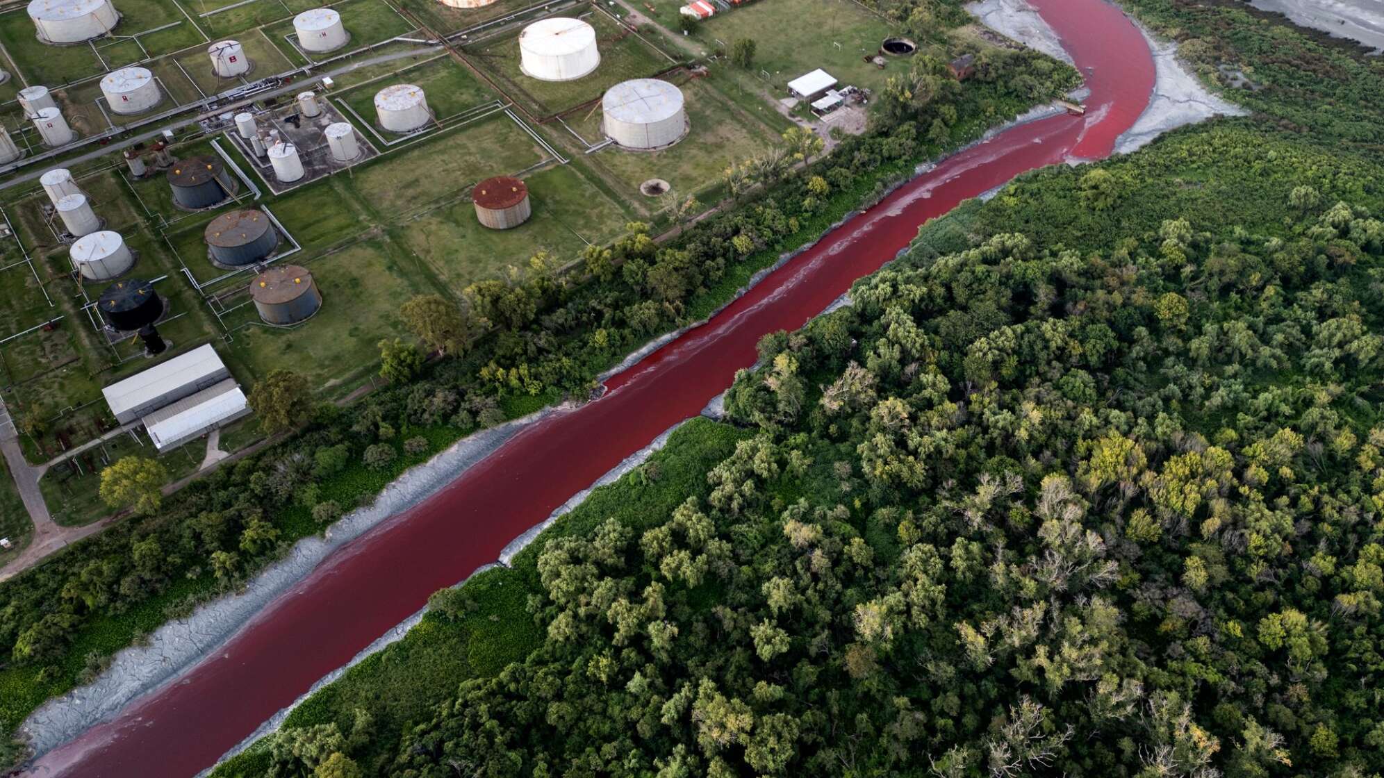 «Fluss aus Blut» Bach in Argentinien färbt sich rot