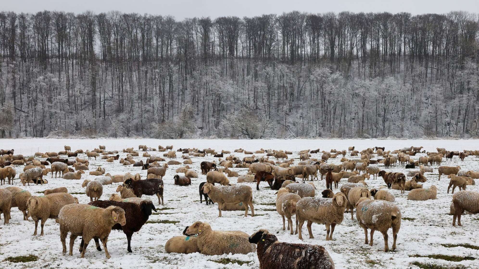 Wetter in Baden-Württemberg