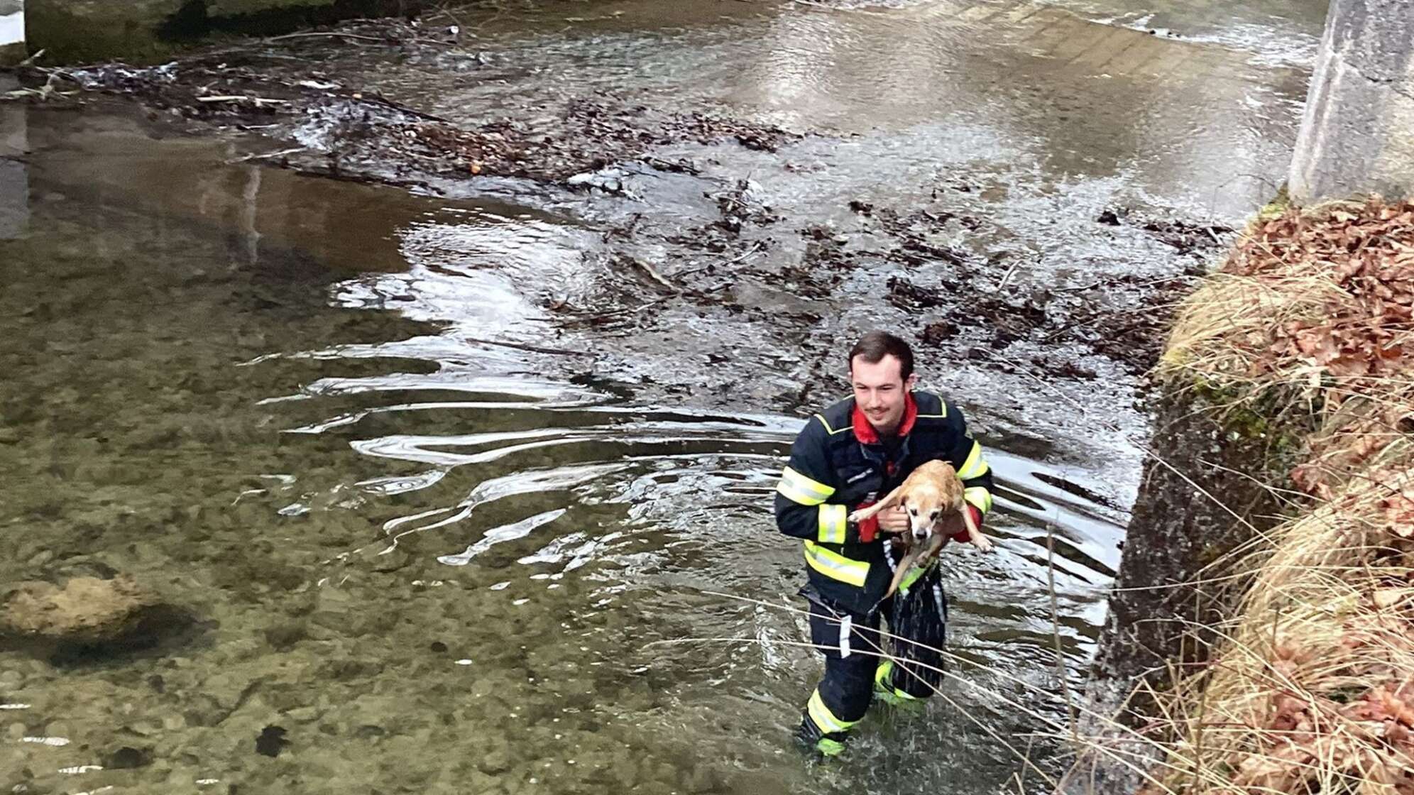 Feuerwehrmann rettet Hund