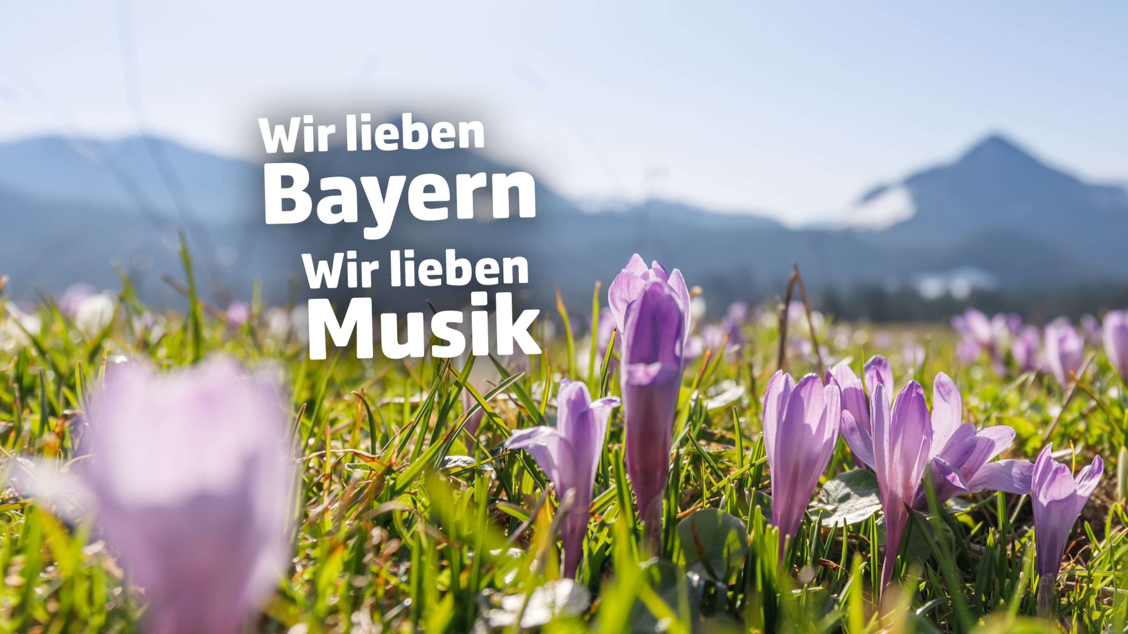 Wir lieben Bayern, wir lieben Musik