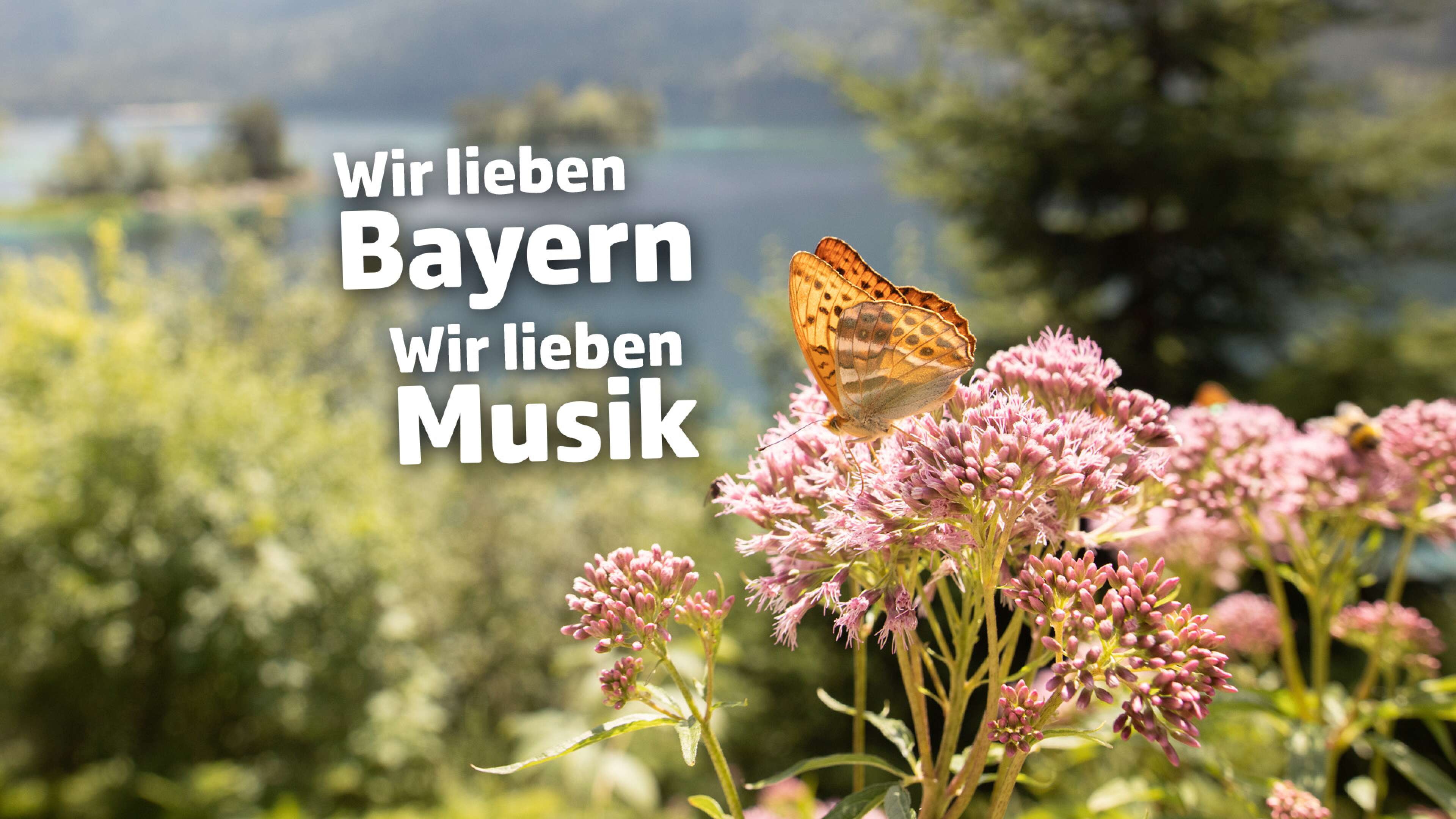 Wir lieben Bayern, wir lieben Musik
