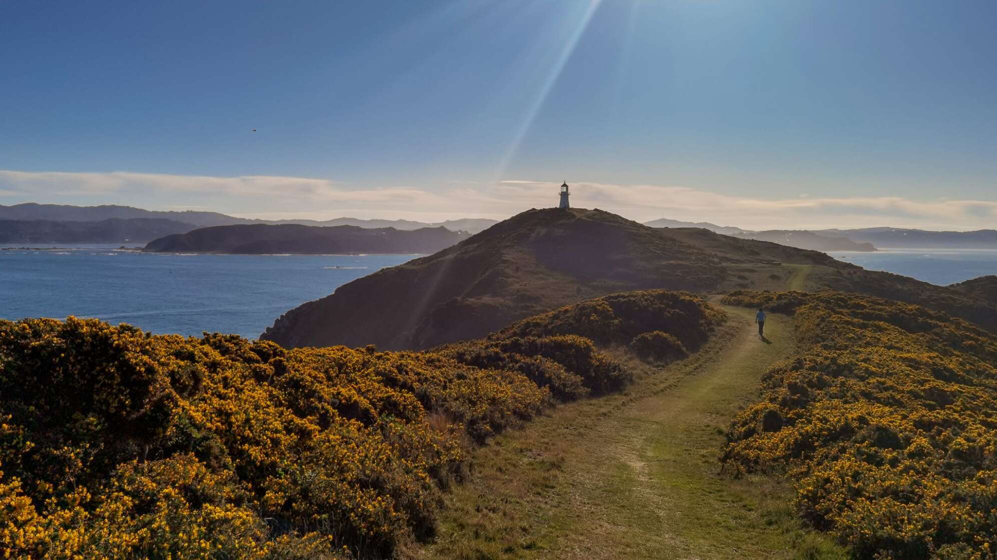 Erdbeben in Neuseeland