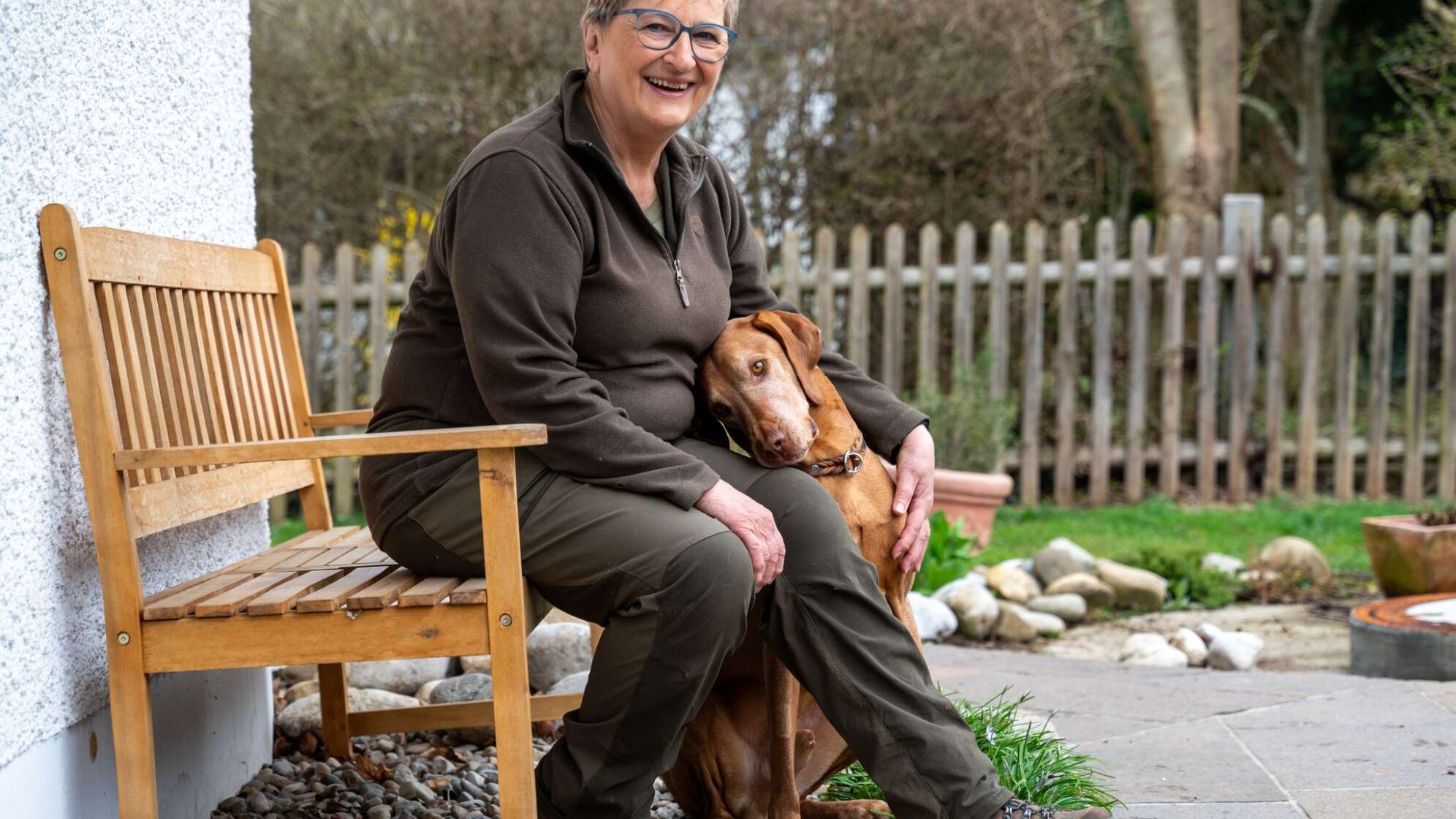 Hund soll Beitragsservice zahlen