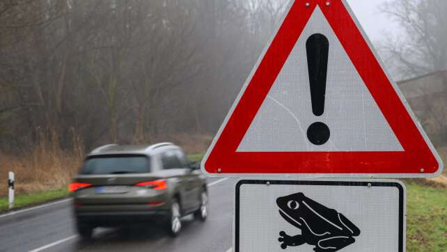 Krötenwanderung: So werden die Frösche und Kröten geschützt