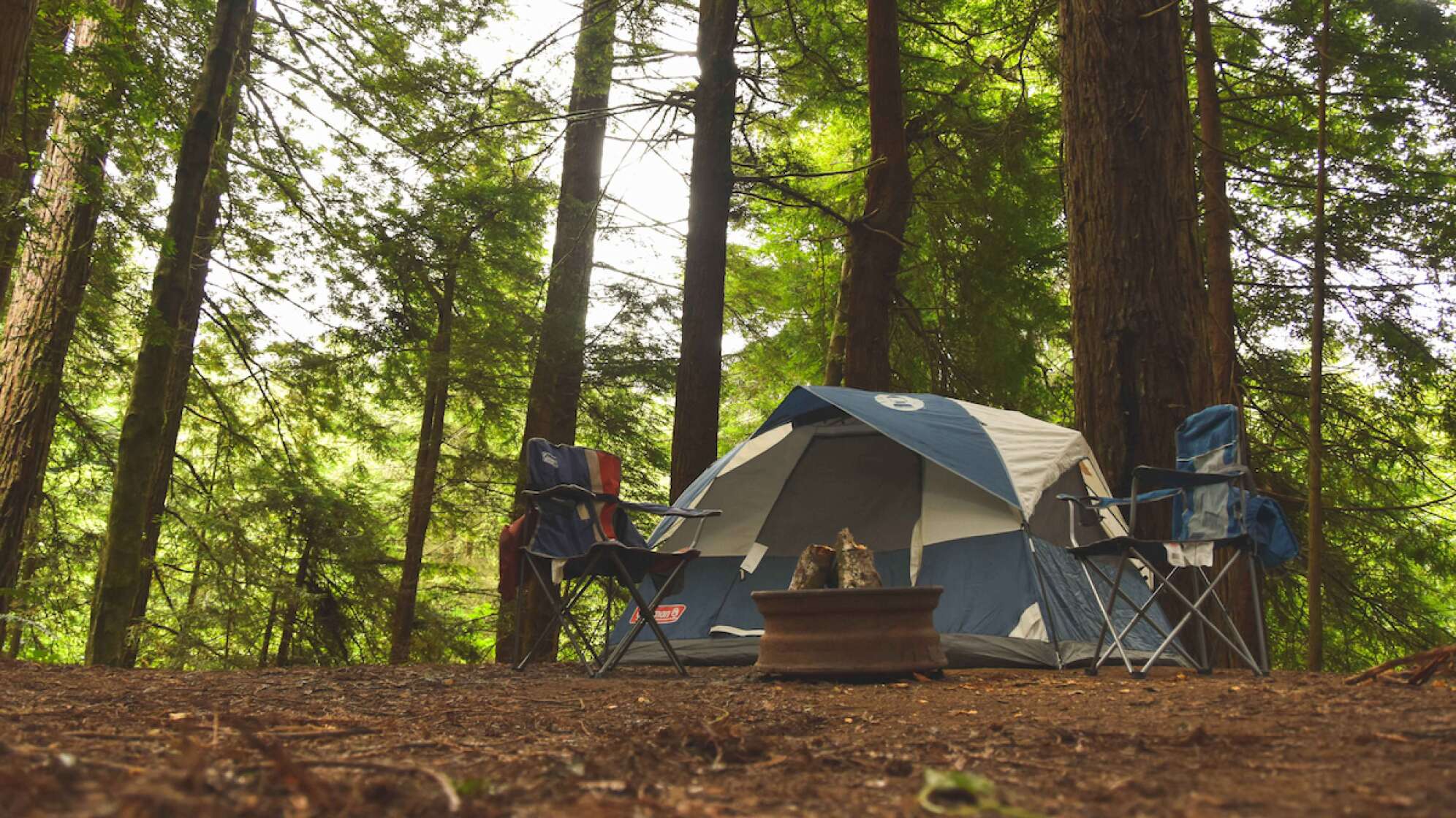 Campingzelt im Wald