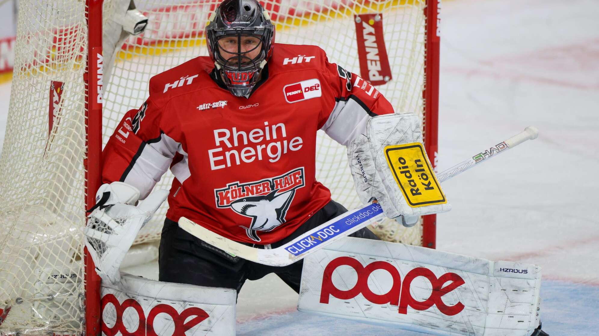 Kölner Haie - Pinguins Bremerhaven