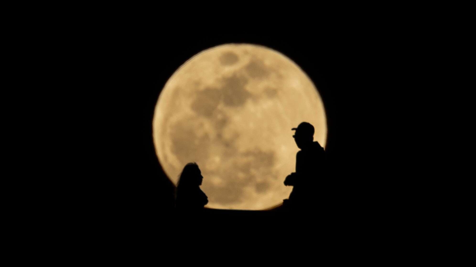 Looking in the moon
