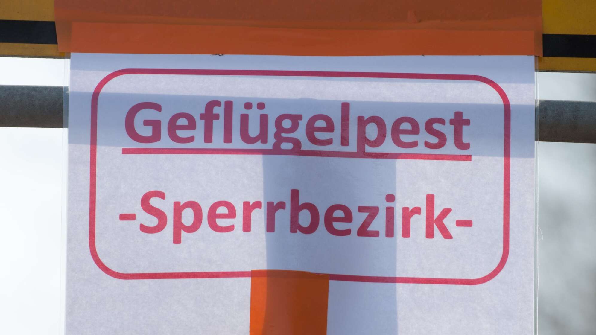 Geflügelpest