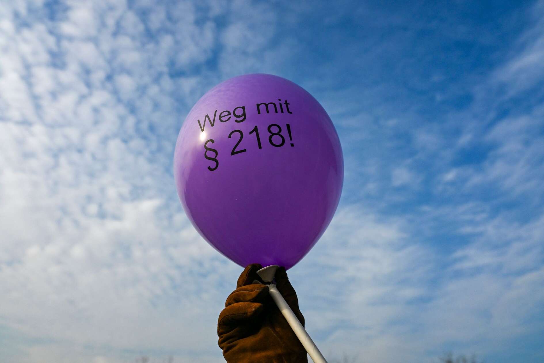 Expert Sees Hurdles in Bavarian Abortions - News Directory 3