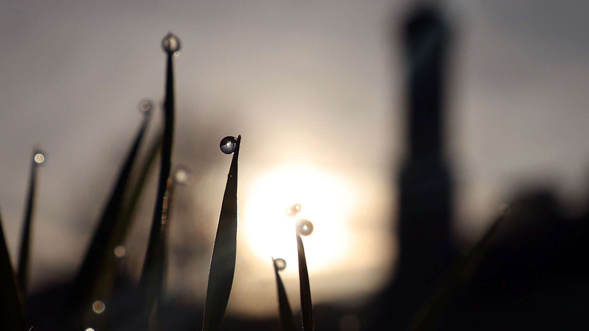 Sonniger Morgen in Bayern