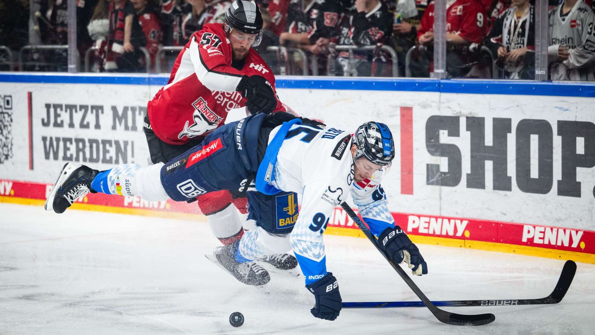 Kölner Haie - ERC Ingolstadt