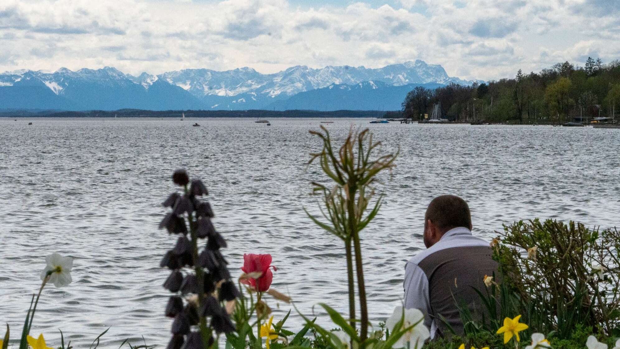 Frühling am Starnberger See