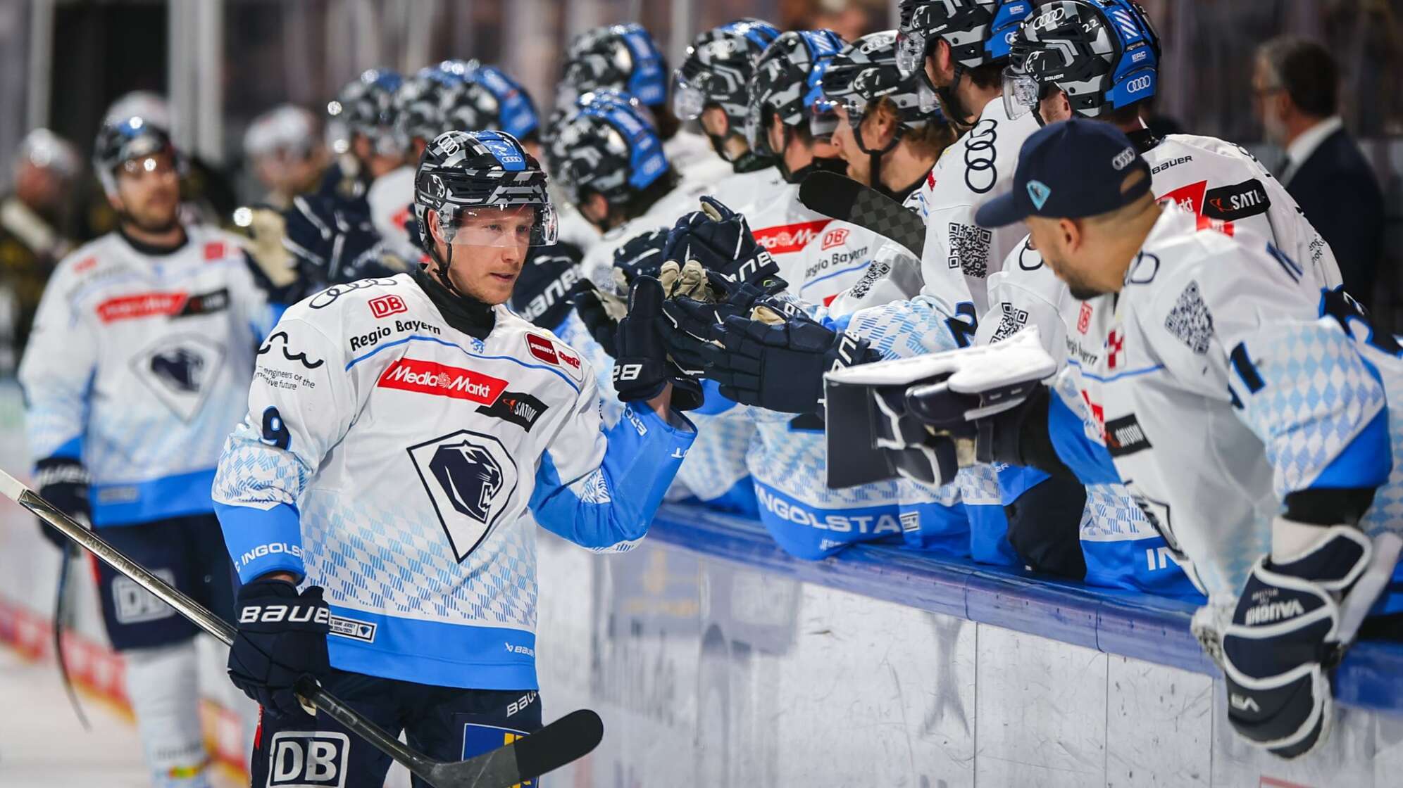 Nürnberg Ice Tigers - ERC Ingolstadt