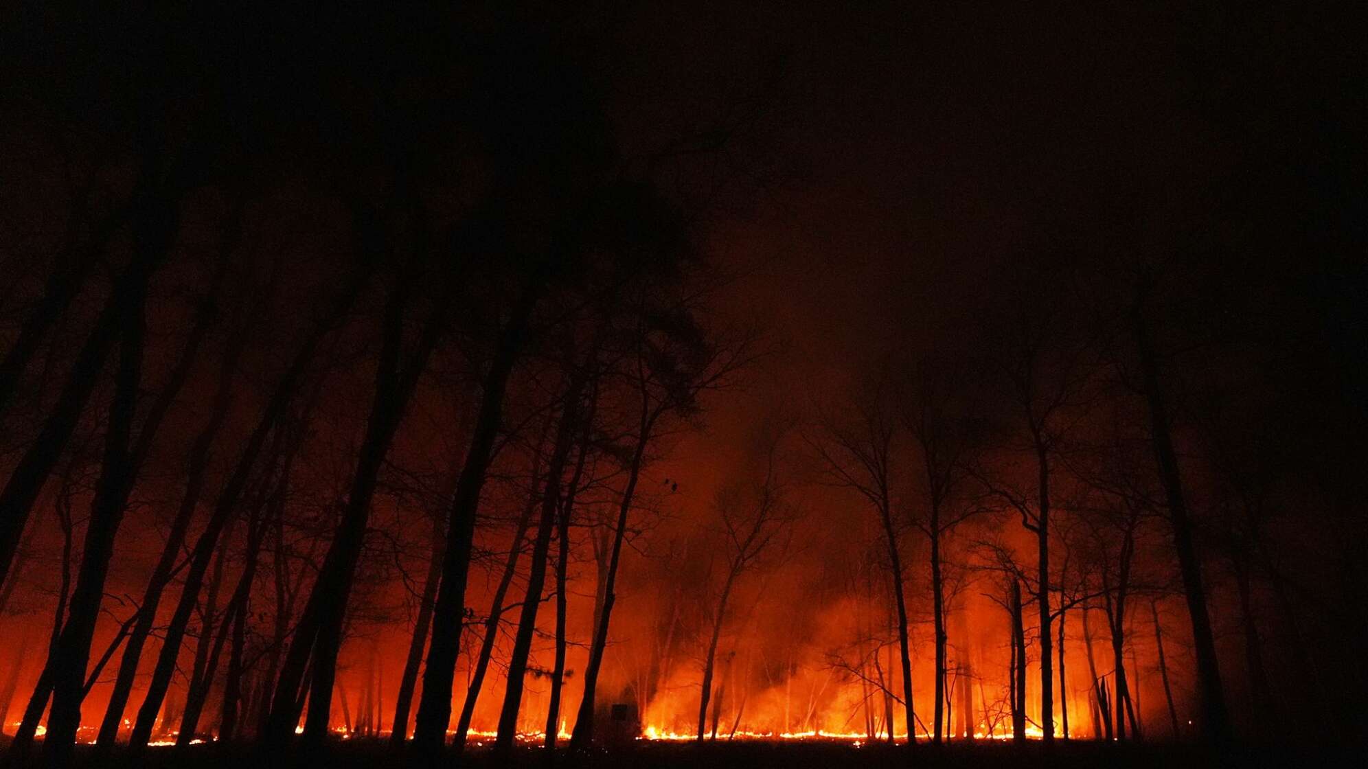 Flächenbrand in New Jersey