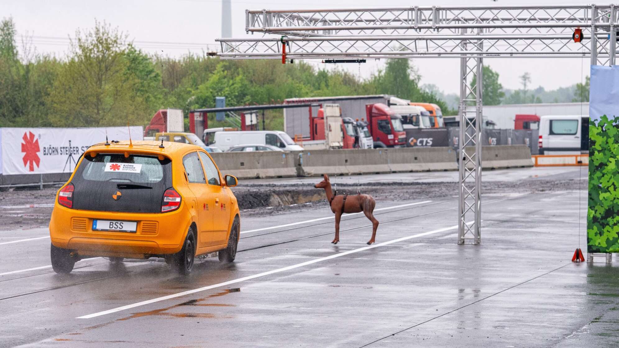 Crashtest - Vorstellung einer Studie zu Wildunfällen