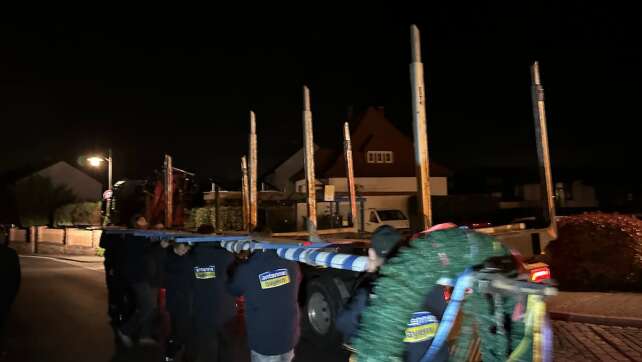 Maibaum stehlen: So macht ihr es richtig!