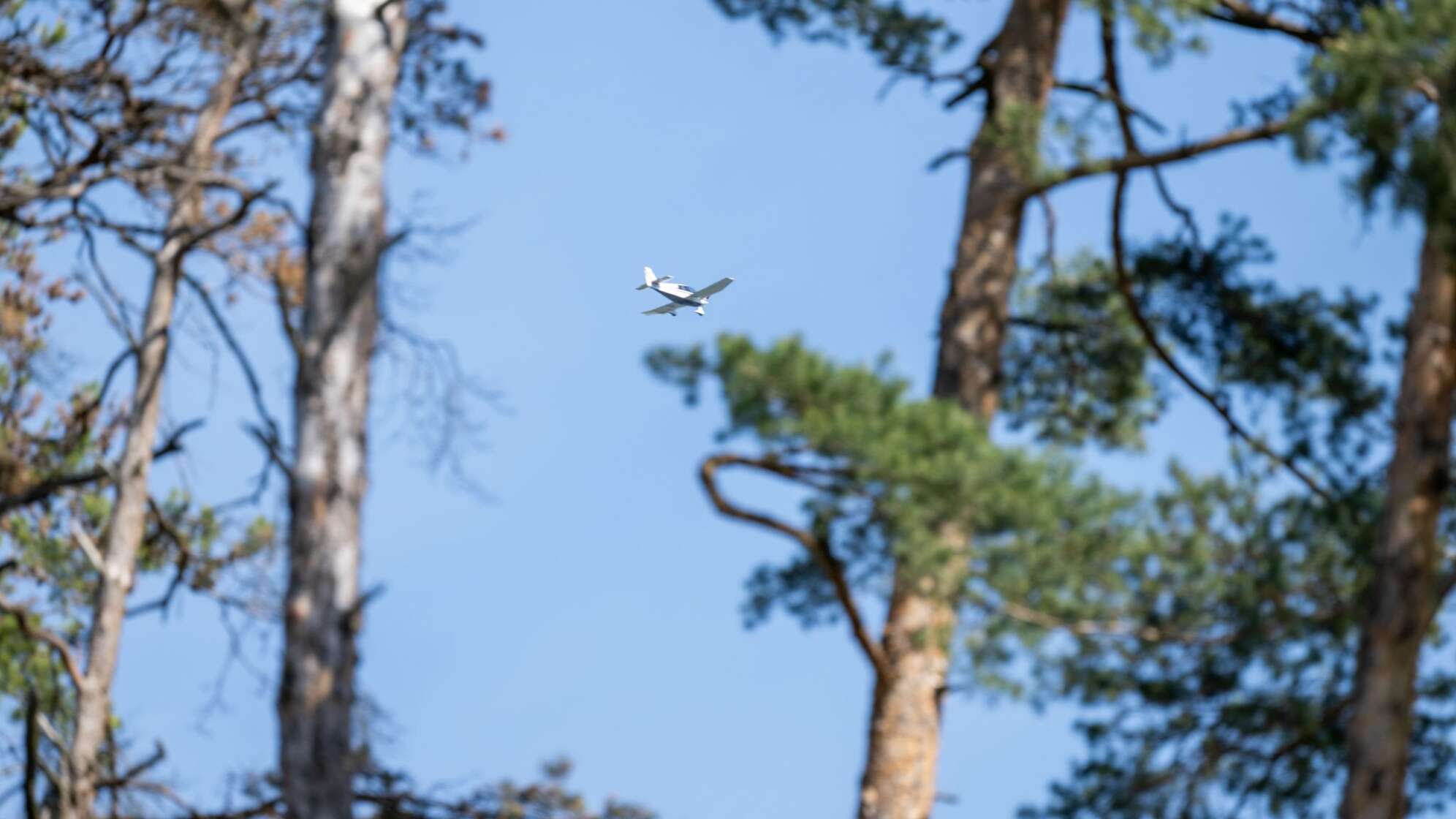 Luftbeobachter trainieren Waldbrandfrüherkennung