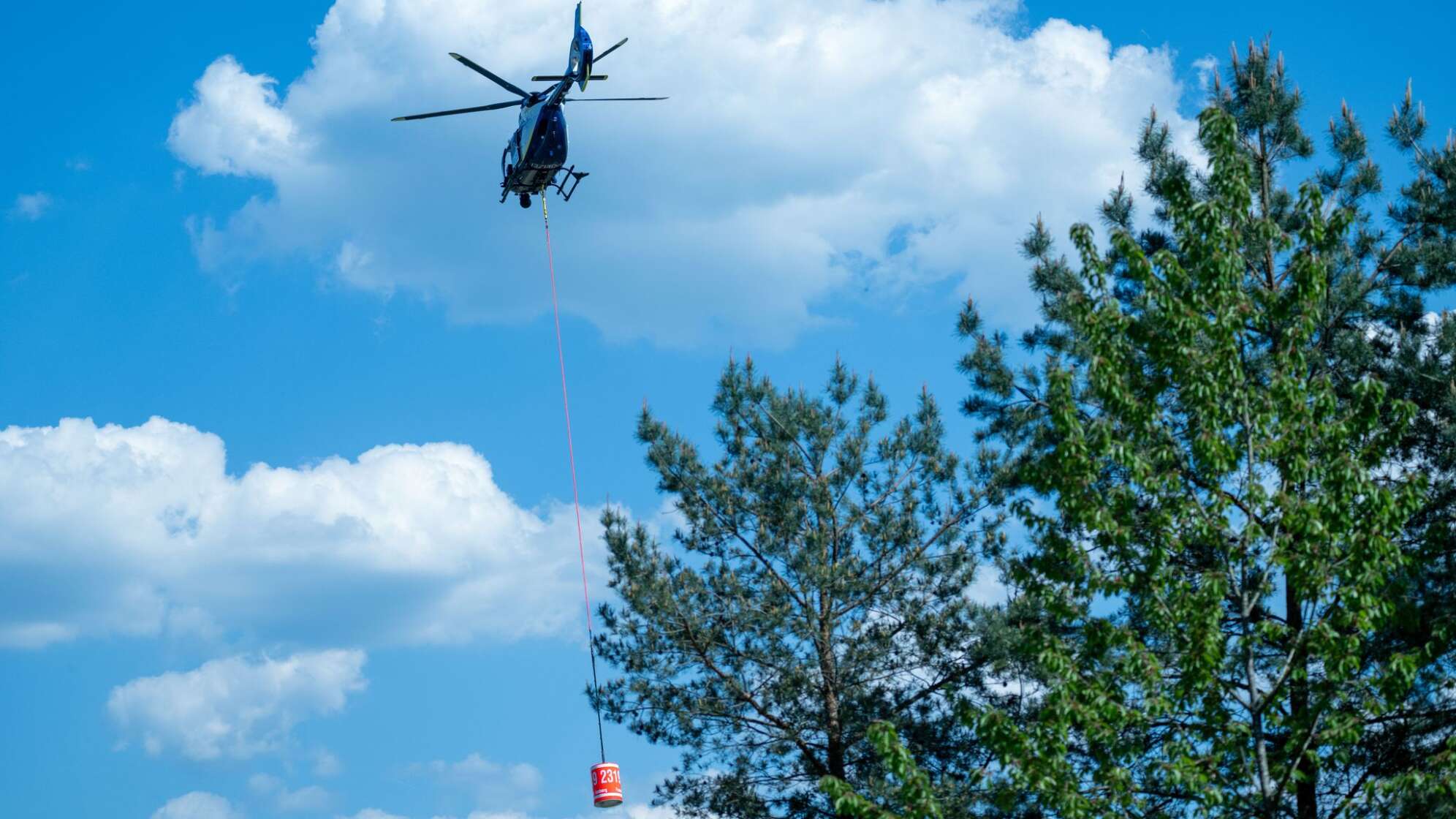 15.000 Quadratmeter Wald in Brand - Löscheinsatz dauert an
