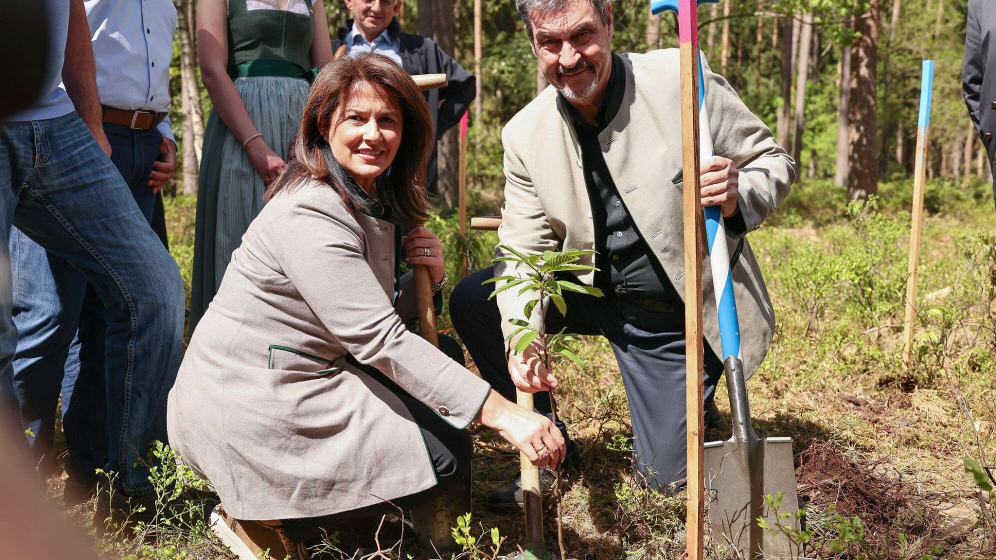 Ministerpräsident Söder pflanzt 90. Millionsten Baum in Roßtal
