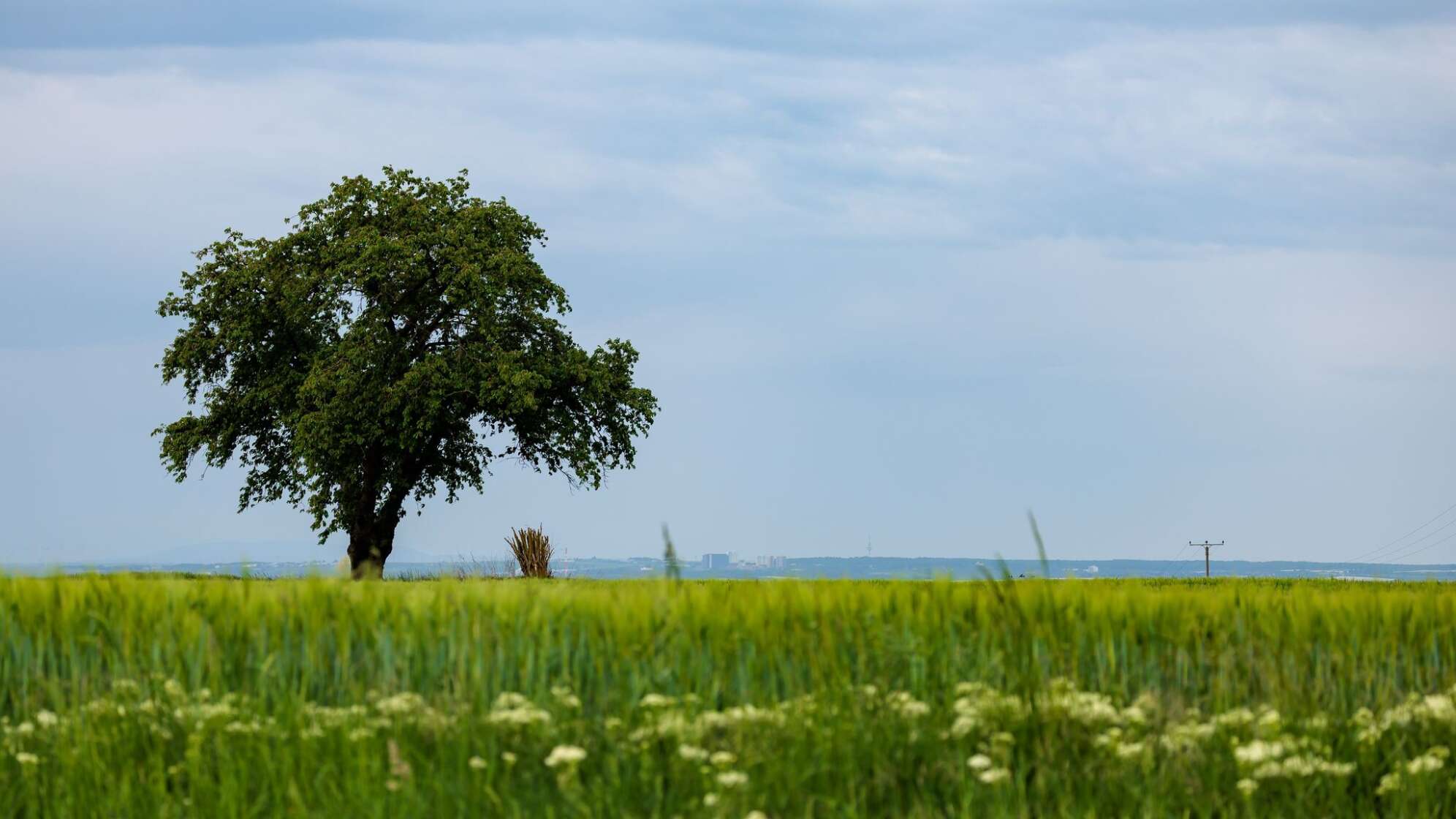 Meteorologen rechnen mit Wetterumschwung