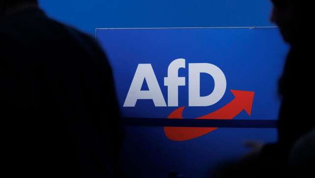 AfD klagt gegen Verfassungsschutz-Einstufung