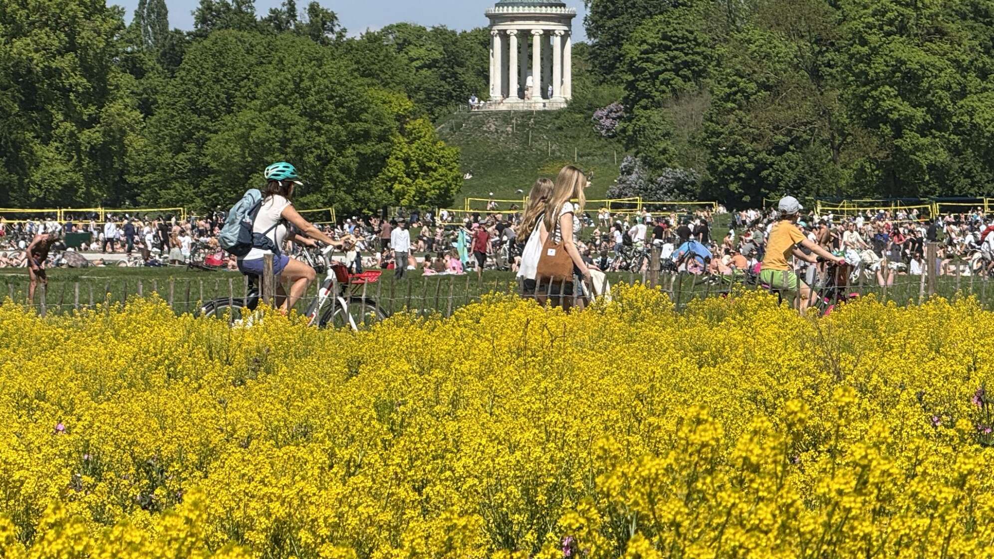 Sonnenhungrige im Englischen Garten