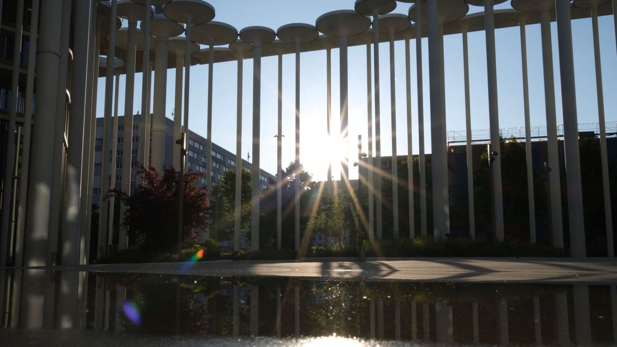 Frühlingssonne