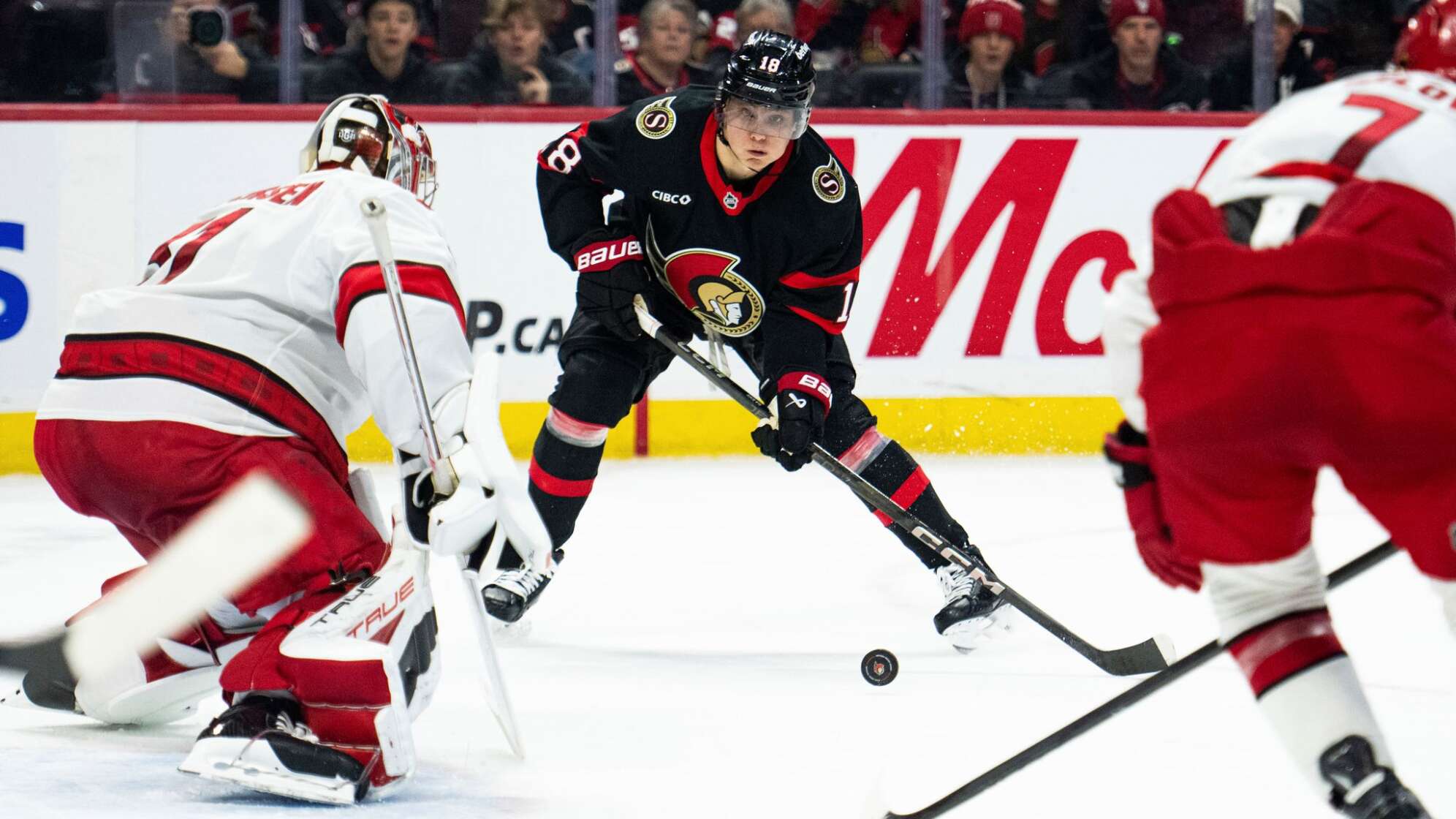 NHL-Star Tim Stützle