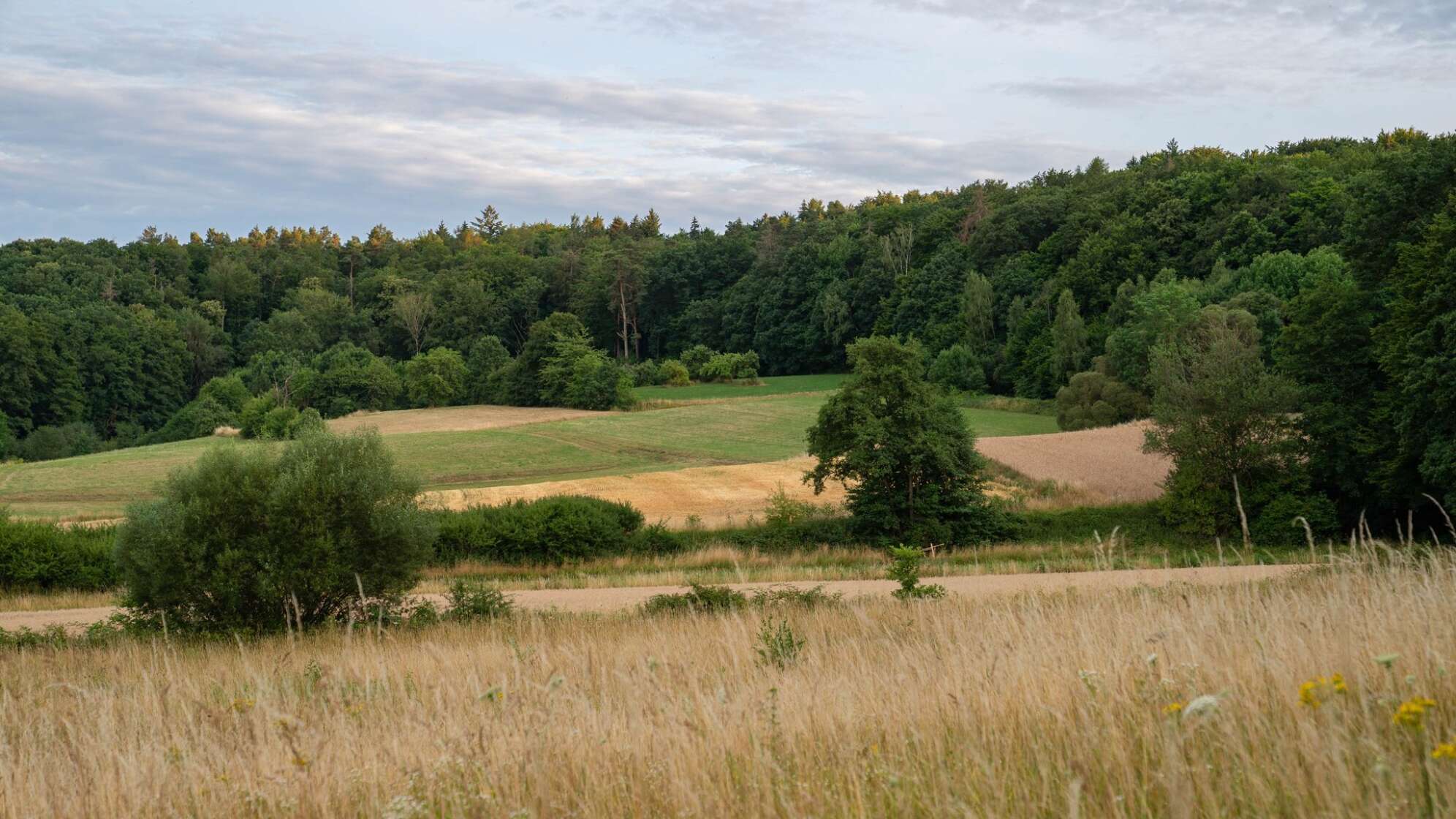 Waldbrandgefahr