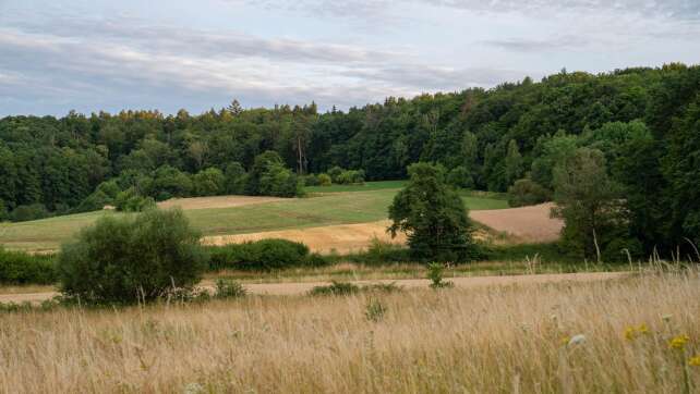 Waldbrandgefahr nimmt im nördlichen Bayern zu
